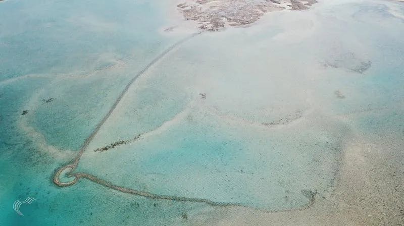 【這群記者（有片）】全球密度最高的石滬群在澎湖 你不知道的「查某滬」故事
